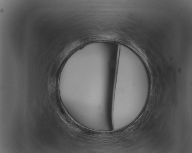 X0000087520107200704270829