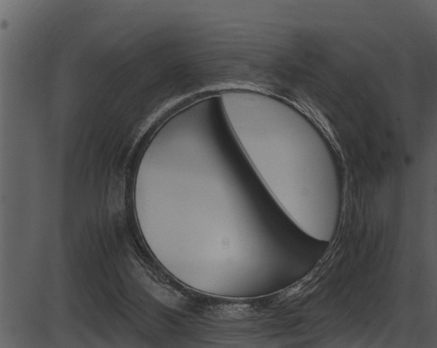 X0000087520108200704270829