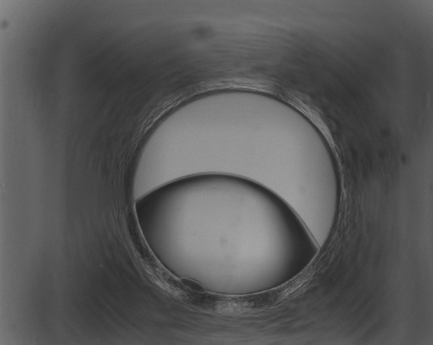 X0000087520109200704270829
