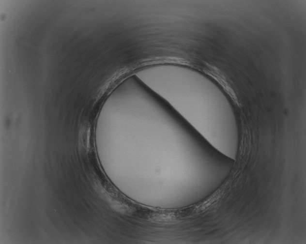 X0000087520110200704270829