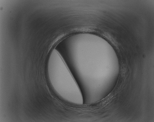 X0000087520111200704270829