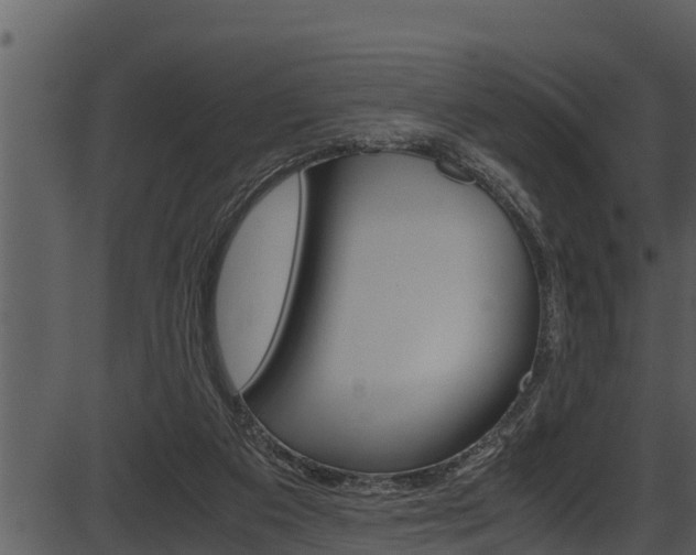 X0000087520113200704270829