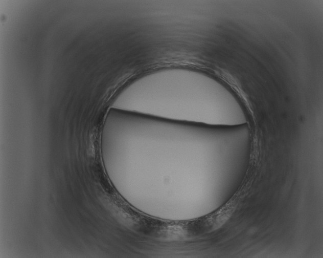 X0000087520114200704270829
