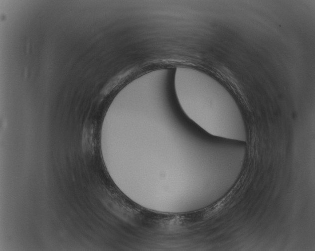 X0000087520116200704270829