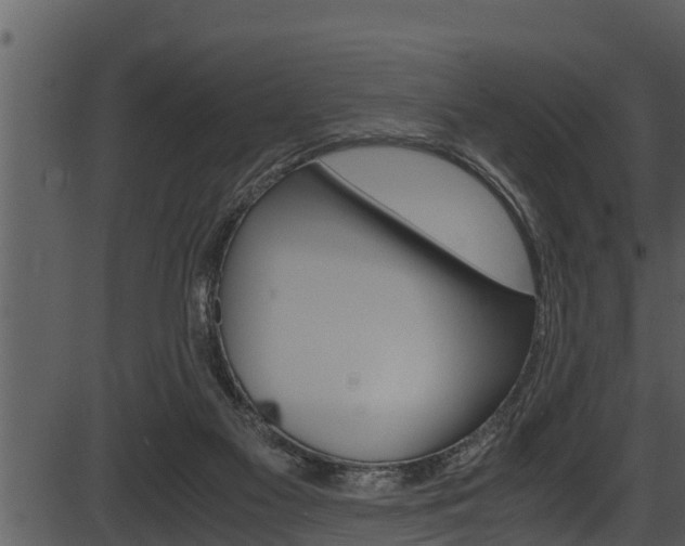 X0000087520117200704270829