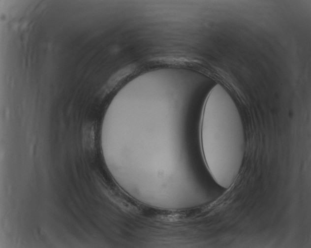 X0000087520120200704270829