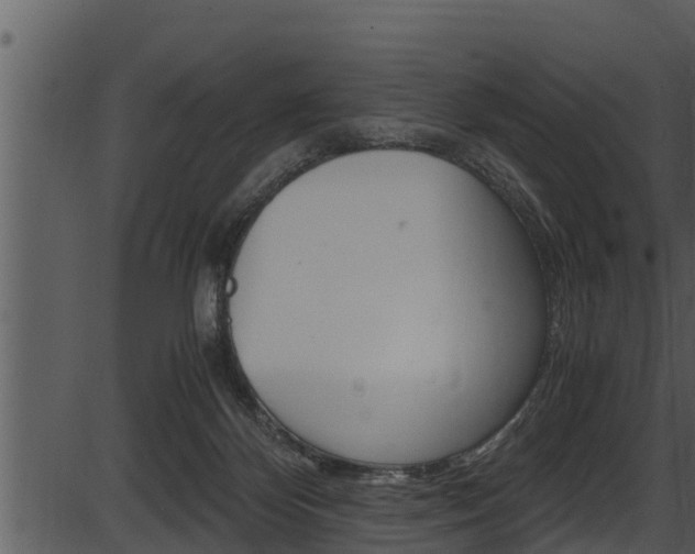 X0000087520124200704270828