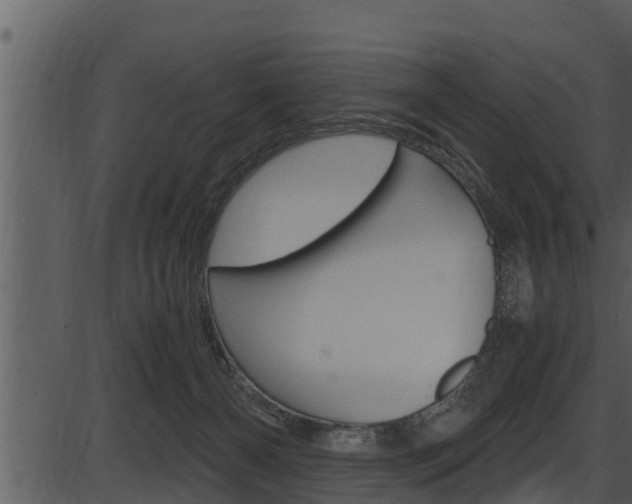 X0000087520126200704270828