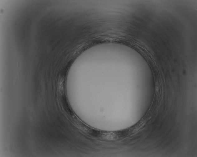 X0000087520127200704270828