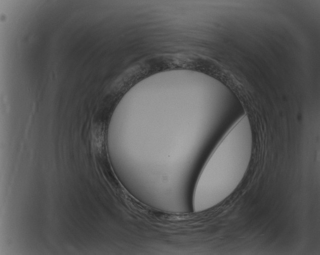 X0000087520129200704270828