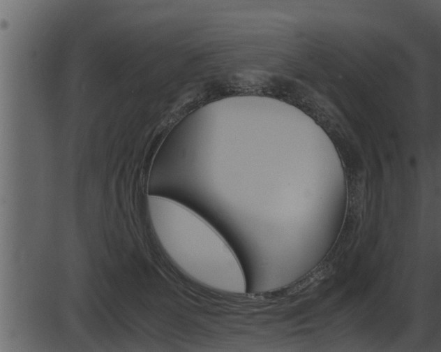 X0000087520131200704270828