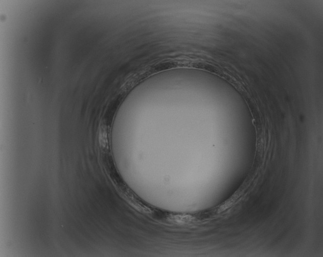 X0000087520137200704270828