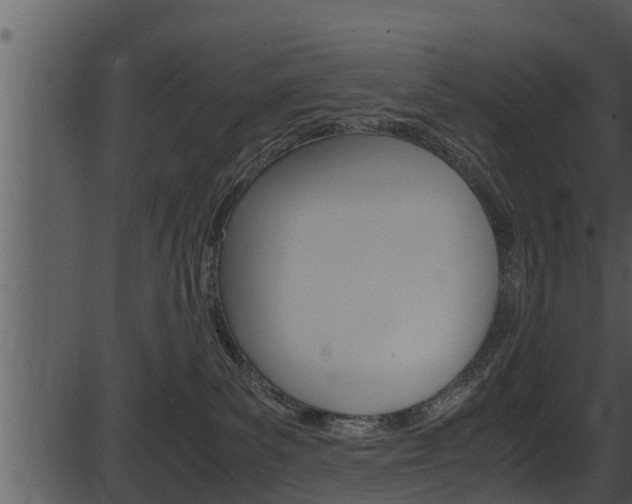 X0000087520139200704270828