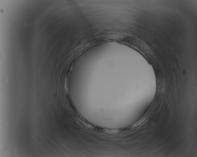 X0000087520143200704270828