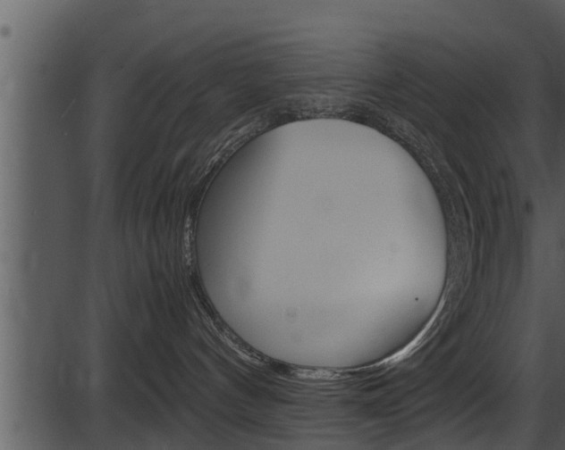 X0000087520144200704270828