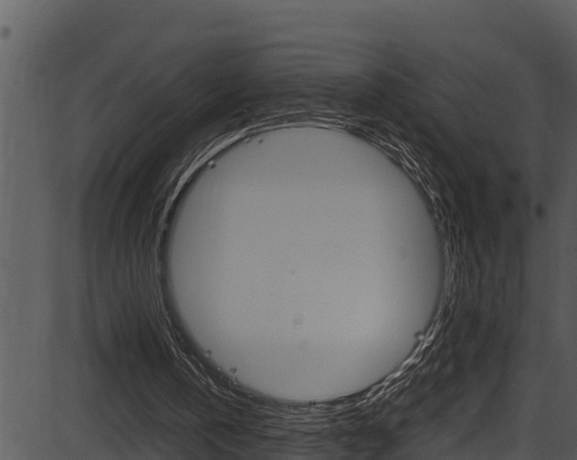 X0000087520146200704270827
