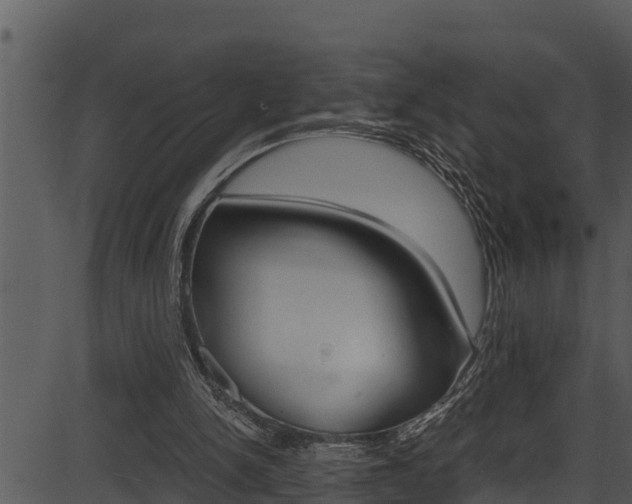 X0000087520150200704270827