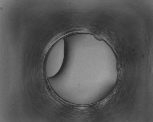 X0000087520151200704270827