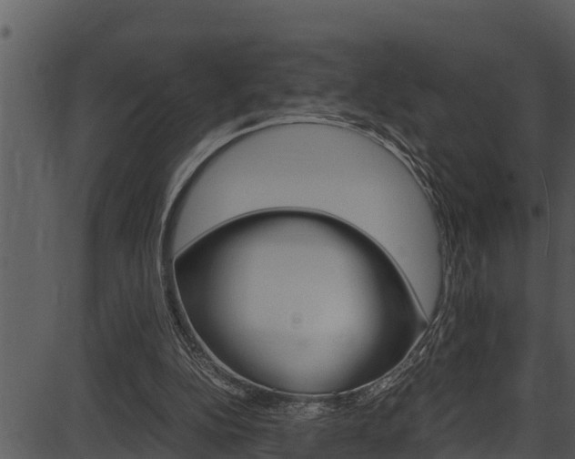 X0000087520152200704270827