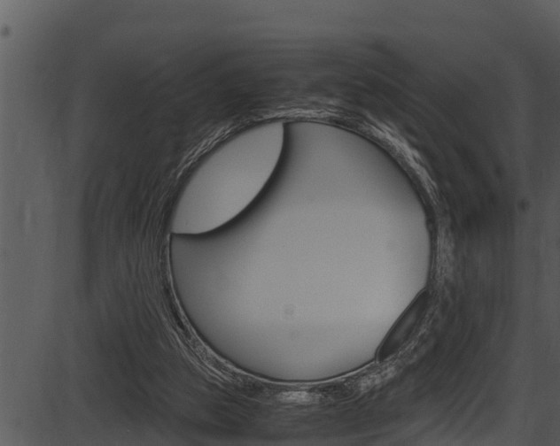 X0000087520153200704270827