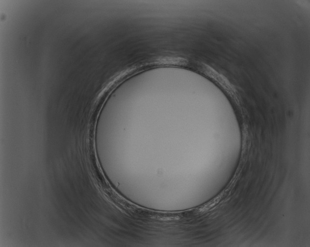 X0000087520155200704270828