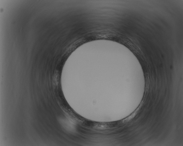X0000087520174200704270828