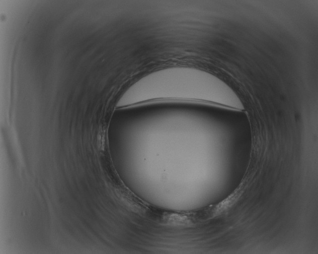 X0000087520180200704270828