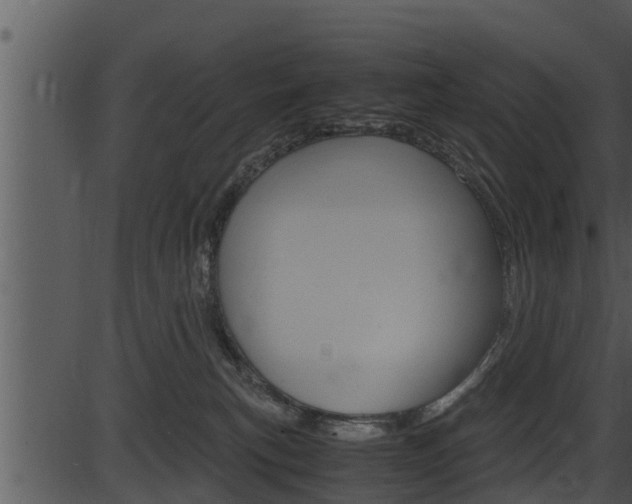 X0000087520183200704270828