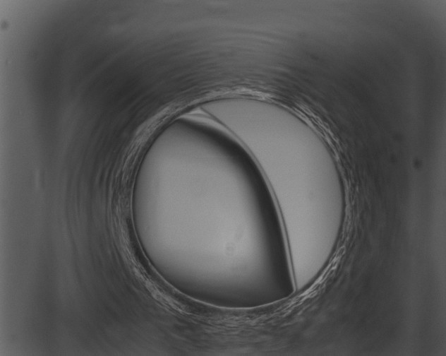 X0000087520193200704270827