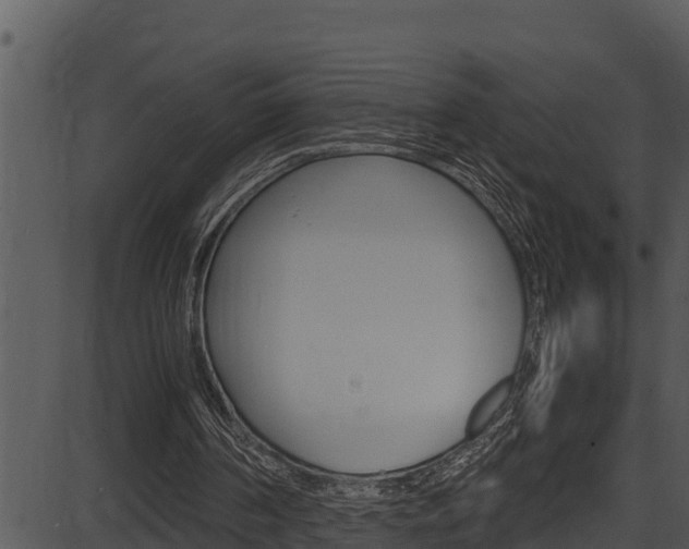 X0000087520194200704270827