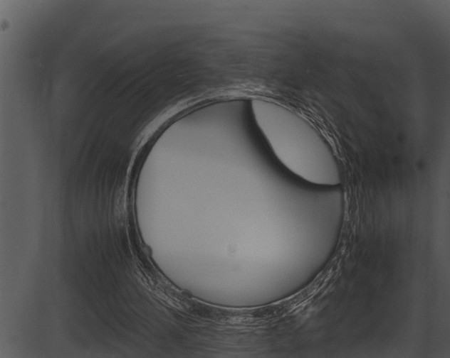 X0000087520196200704270827