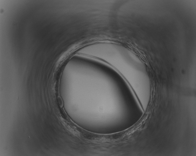 X0000087520197200704270827