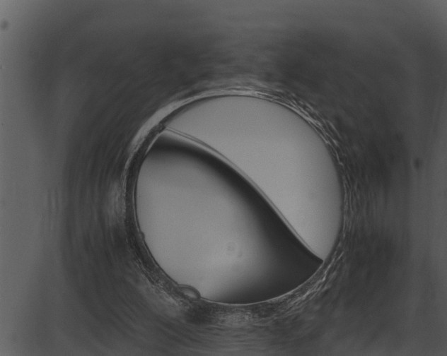 X0000087520200200704270827