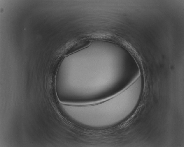 X0000087520201200704270827