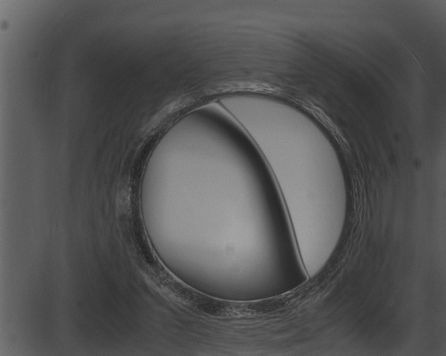 X0000087520207200704270827