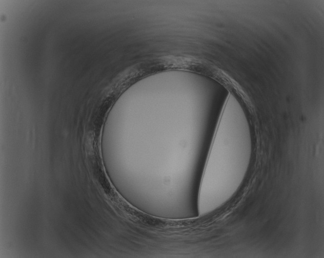 X0000087520209200704270827