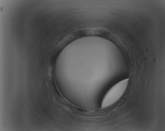 X0000087520219200704270827