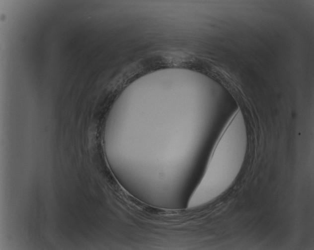 X0000087520221200704270827
