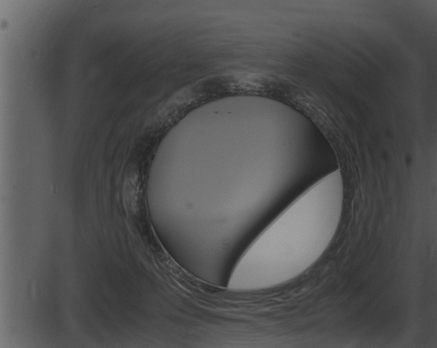 X0000087520223200704270827
