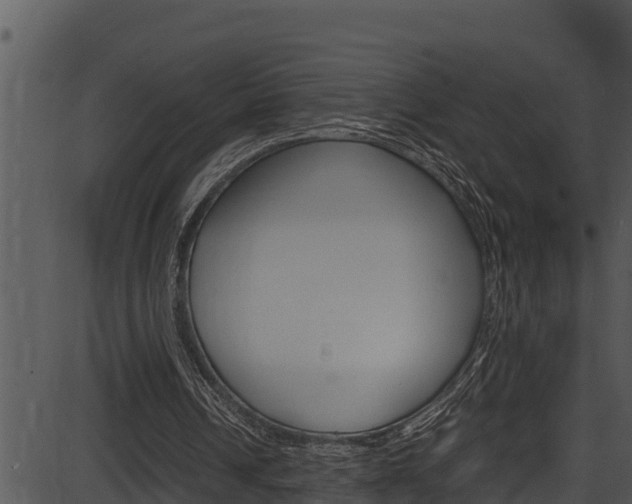 X0000087520242200704270826