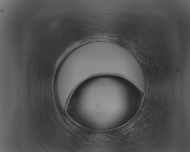 X0000087520244200704270826