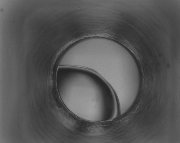 X0000087520252200704270826