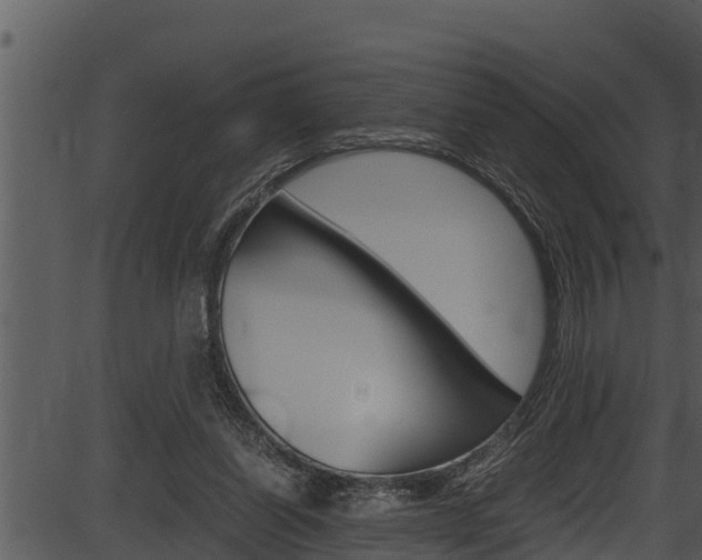 X0000087520254200704270826