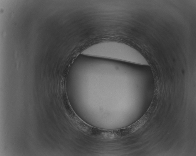 X0000087520272200704270826