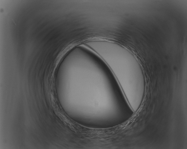 X0000087520289200704270826