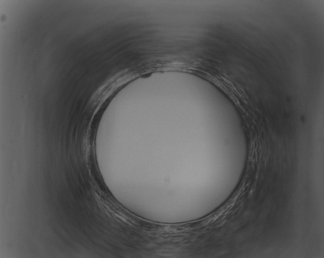 X0000087520290200704270826