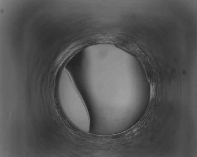 X0000087520291200704270826