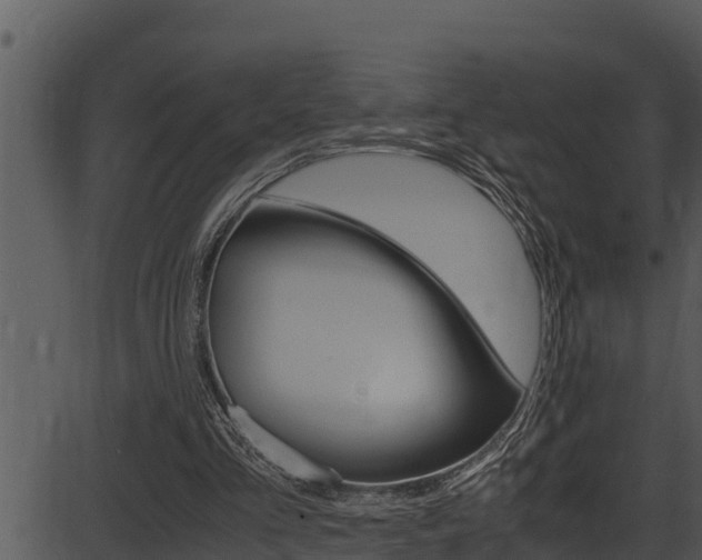 X0000087520293200704270826