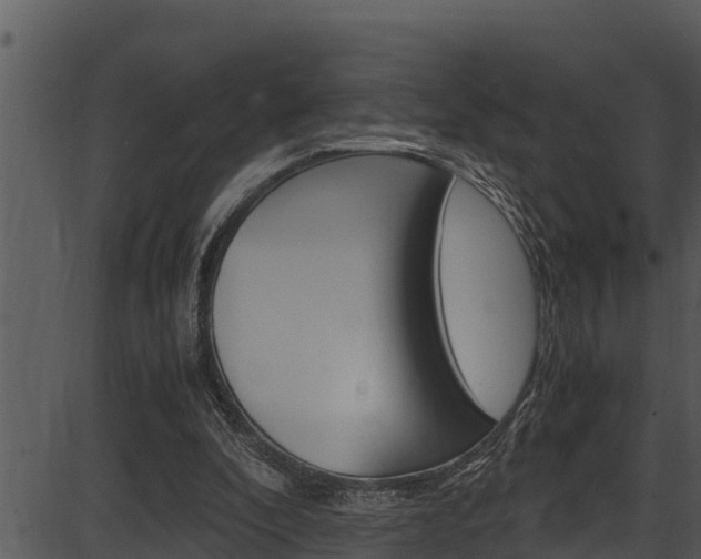 X0000087520296200704270826
