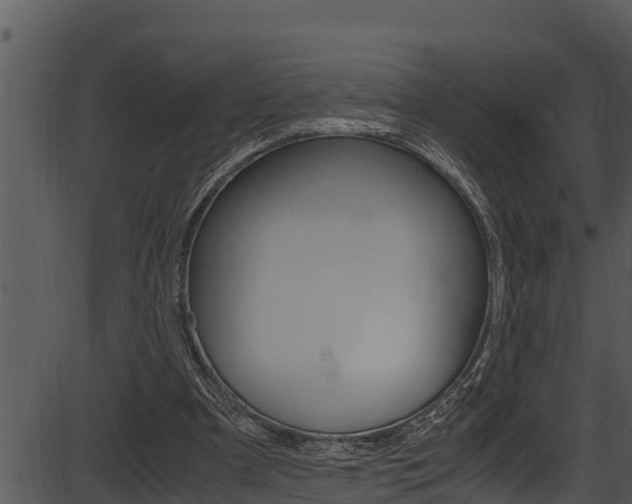 X0000087520297200704270826